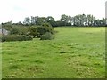 Pasture near Halam