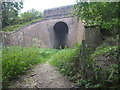 Footpath under the railway in Oak Wood