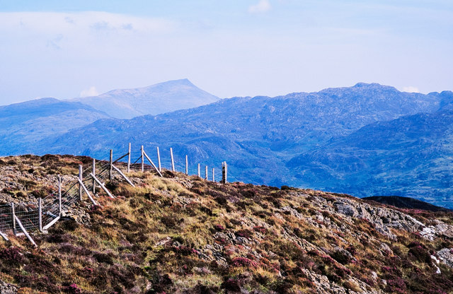 Fence crossing summit of Moel y Dyniewyd
