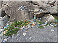 Painted pebbles, Tywyn