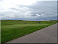 Green, Inverallochy Golf Club