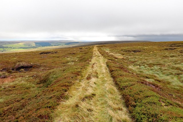 Track from Shooting Cabin, Middlehope Moor
