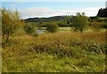 NS7077 : Dumbreck Marsh Local Nature Reserve by Richard Sutcliffe
