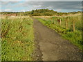 Dumbreck Marsh Local Nature Reserve