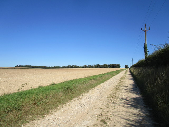 Restricted byway and Beech Plantation © Jonathan Thacker cc-by-sa/2.0 ...