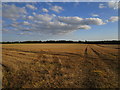 TF7023 : Stubble field near Roydon by Jonathan Thacker