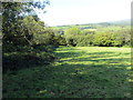 Llwybr Danycoed / Danycoed Path