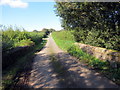 Pont ger Glanrhyd / Bridge near Glanrhyd