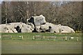 TQ5739 : Wellington Rocks by N Chadwick