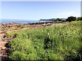 Arran Shoreline