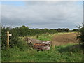 Footpath off Danby Lane