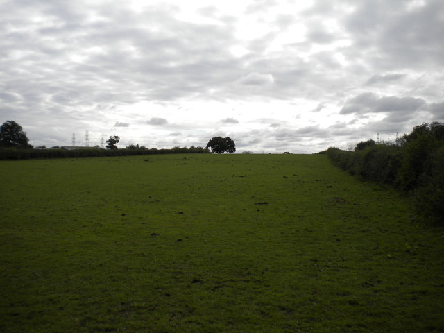 Field south of Landown Farm