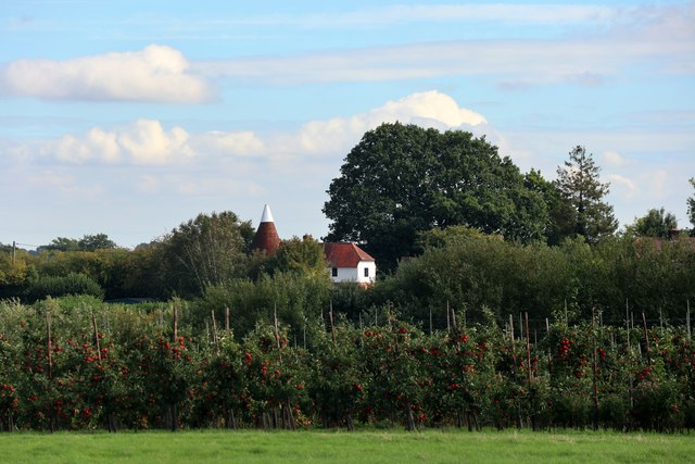 Orchard near Goshen Farm