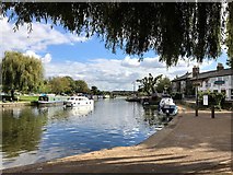 TL5479 : The River Great Ouse near the Cutter Inn in Ely by Richard Humphrey