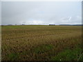 Stubble field, Balmacassie