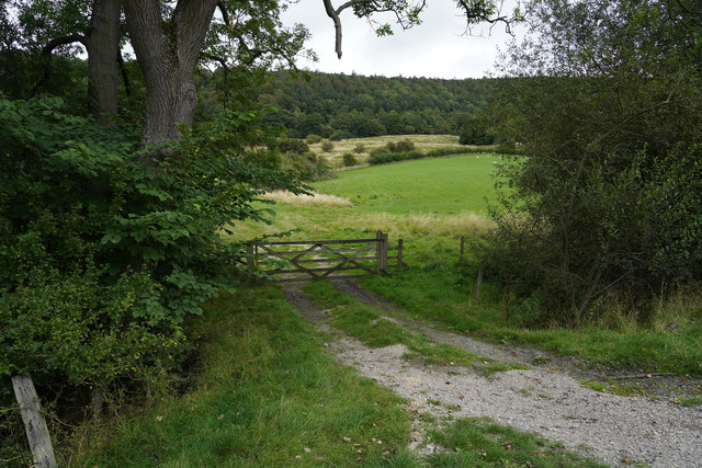 The view towards Manners Wood