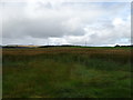 Farmland, Hill of Auchleuchries