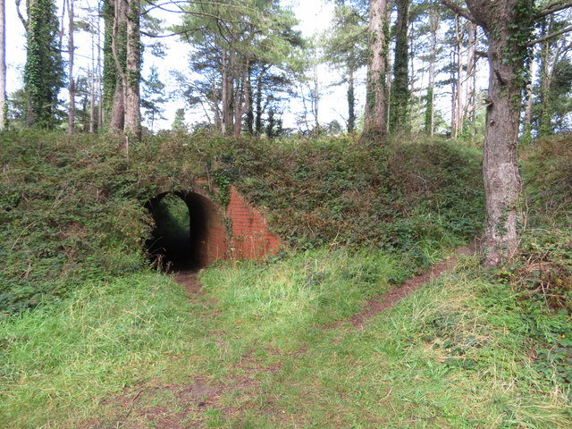 Munitions factory remains in Pembrey Forest