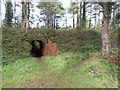 Munitions factory remains in Pembrey Forest