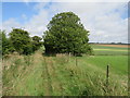 Public bridleway near Poundbury