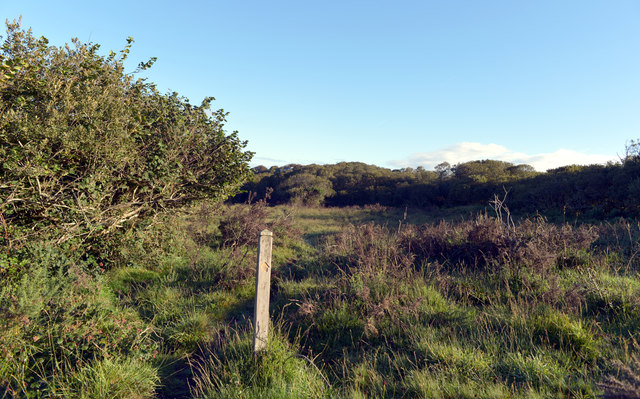 Path between Kennack Sands and Gwenter © habiloid cc-by-sa/2.0 ...