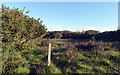 Path between Kennack Sands and Gwenter