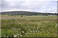 Wetland fields near Tomintoul