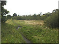 SE2029 : Bridleway across the north-western part of Tong Moor by Stephen Craven