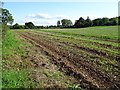 A harvested field