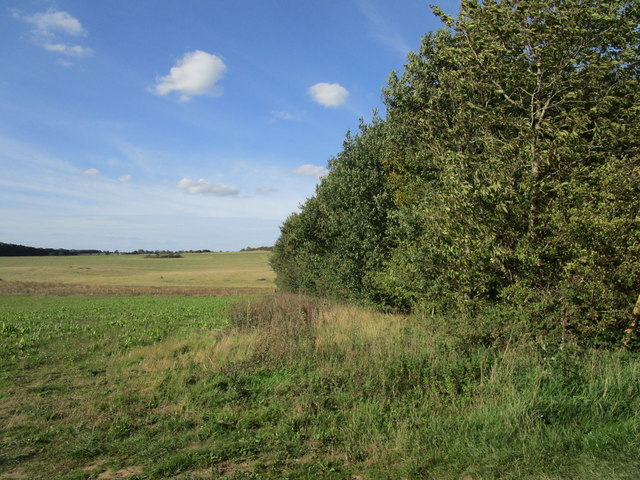 Edge of Fieldbarn Plantation