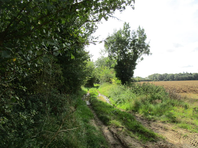 Farm track alongside Walton Common