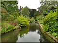 SJ7387 : Eastern arm of the moat at Dunham Massey by Stephen Craven