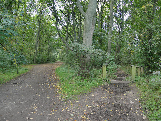Footpath and bridleway in Farnley Hall Park