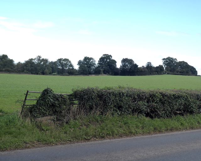 Field adjacent to the B4348