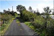 H5777 : Lough Fingrean Road, Loughmacrory by Kenneth  Allen