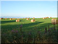 Field with bales beside the Formartine and Buchan Way