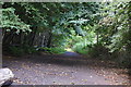 Bridleway, Ditton Common