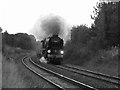 Railtour at Purton