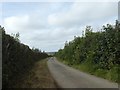 SX0670 : Road to Hellandbridge with wide verge by David Smith