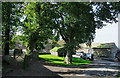 Grassed area among buildings at New Hall