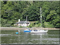 SX8753 : Lower  Kilngate  on  the  west  bank  of  the  River  Dart by Martin Dawes