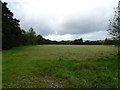 Grassland near the River Nidd