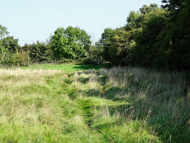 Footpath over a ridge and furrow field