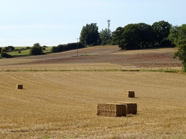 Straw bales in a harvested field