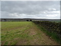 Grazing and stone wall, East Summer Side