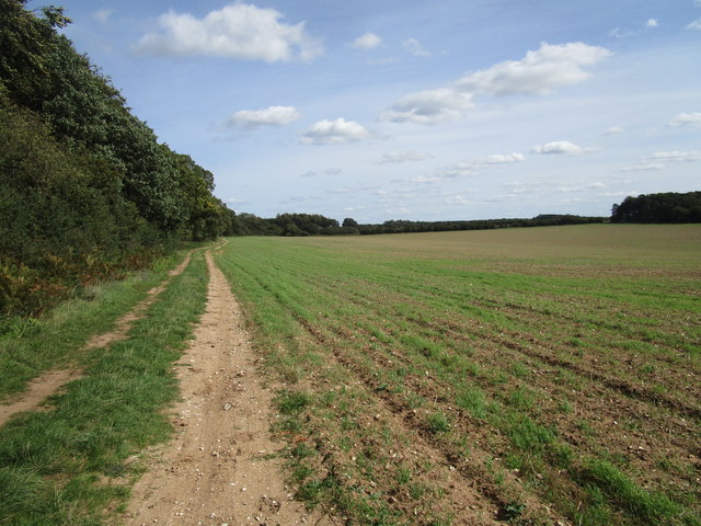 Restricted byway to West Acre