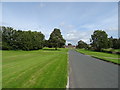 Road beside village green, Fearby