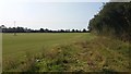 Path heading towards Drayton Crossroad