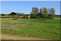 Barn and a stand of trees