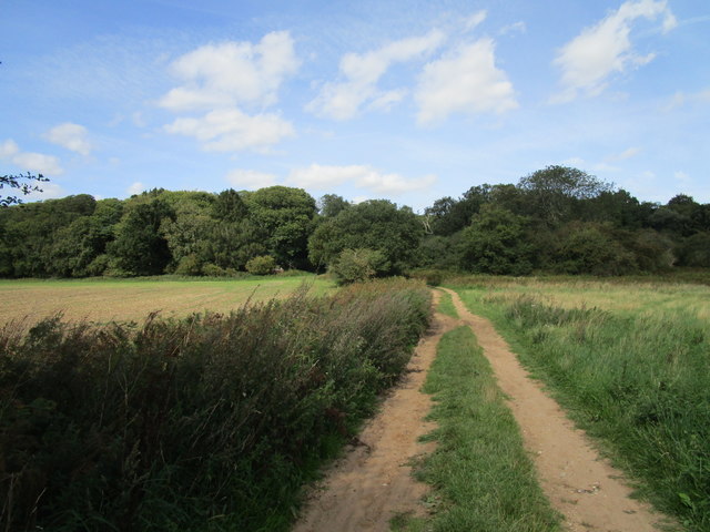 Byway and Soigné Wood